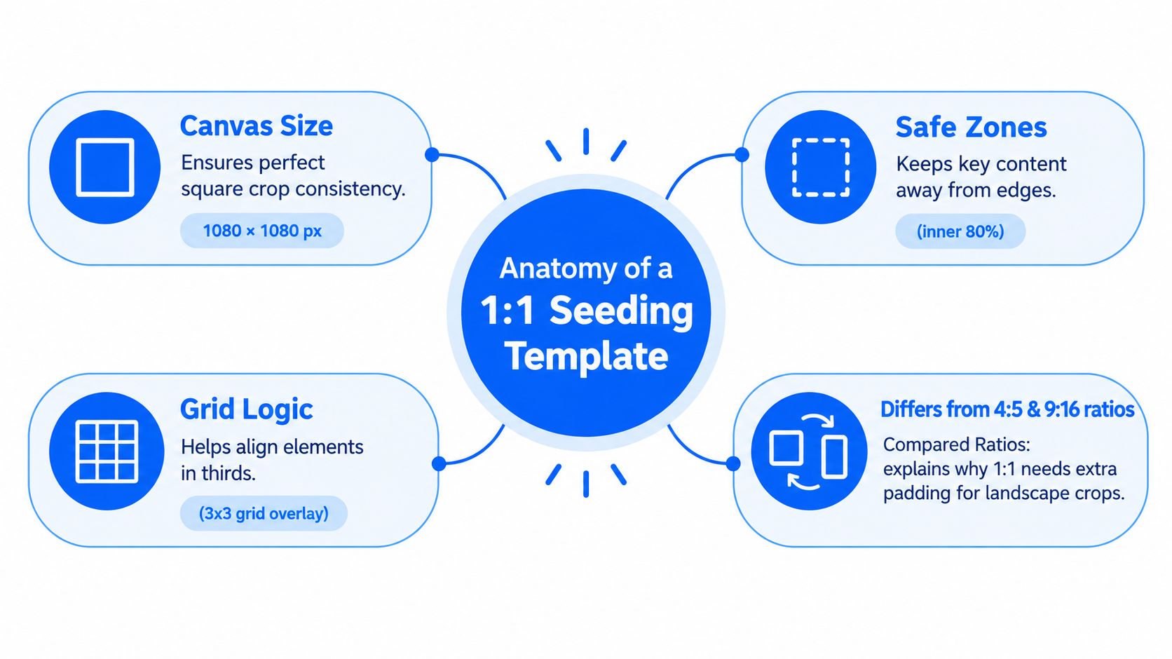 A diagram explaining the anatomy of a 1:1 seeding template with sections for canvas size, safe zones, grid logic, and ratio differences.